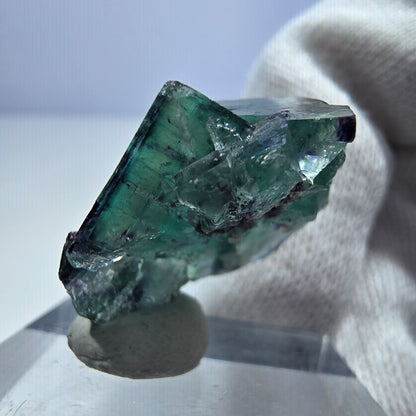 Spécimen rare de cube de fluorite fantôme, vert zonal et violet, Okorusu, Namibie, 25 x 21 x 15 mm 