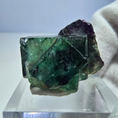 Spécimen rare de cube de fluorite fantôme, vert zonal et violet, Okorusu, Namibie, 29 x 17 x 17 mm 