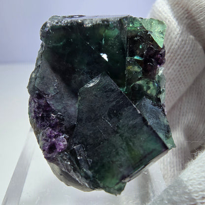 Seltene Phantom Fluorit Würfel Stufe zonal grün lila Okorusu, Namibia 34*25*18mm