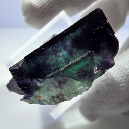 Spécimen rare de cube de fluorite fantôme zonal vert violet Okorusu, Namibie 33*21*14mm 