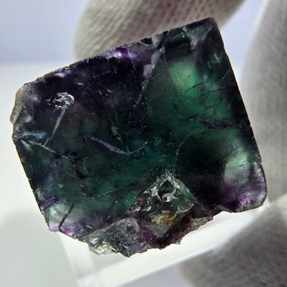 Rare spécimen de cube de fluorite fantôme, vert-violet zonal, Okorusu, Namibie, 25 x 23 x 16 mm 