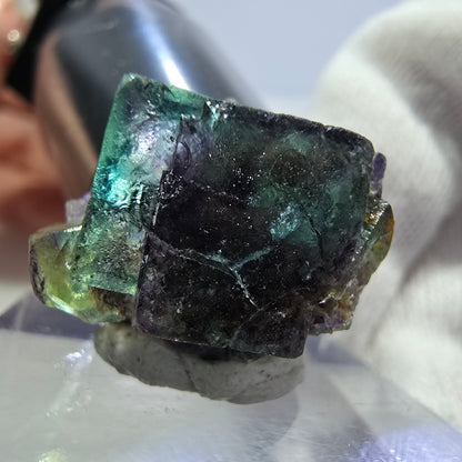 Spécimen rare de cube de fluorite fantôme, vert zonal et violet, Okorusu, Namibie, 22 x 15 x 17 mm 