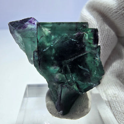 Rare spécimen de cube de fluorite fantôme, vert-violet zonal, Okorusu, Namibie, 31 x 21 x 15 mm 