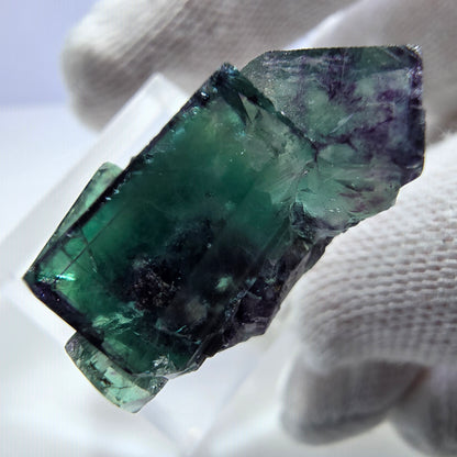 Rare spécimen de cube de fluorite fantôme, vert-violet zonal, Okorusu, Namibie, 31 x 21 x 15 mm 