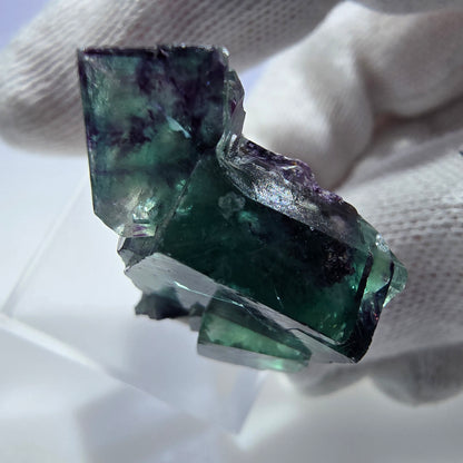 Rare spécimen de cube de fluorite fantôme, vert-violet zonal, Okorusu, Namibie, 31 x 21 x 15 mm 