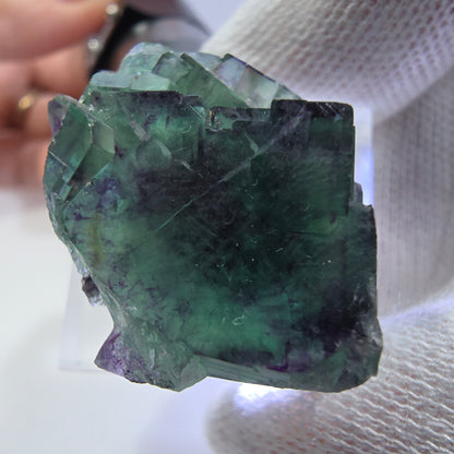 Spécimen rare de cube de fluorite fantôme, vert zonal et violet, Okorusu, Namibie, 30 x 26 x 18 mm 