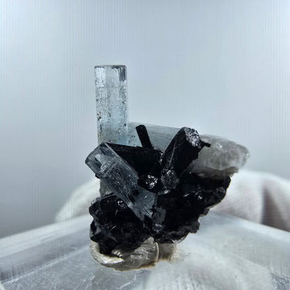 Aigue-marine Setlene, tourmaline Schörl stade Erongo, Namibie 19*17*12mm 