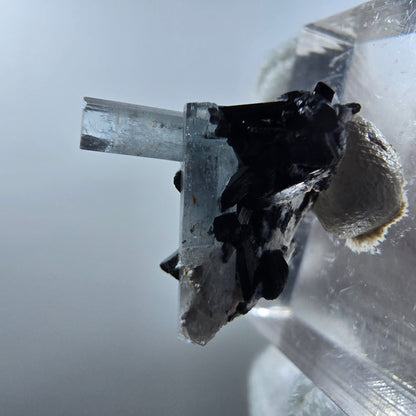 Aigue-marine Setlene, tourmaline Schörl stade Erongo, Namibie 19*17*12mm 