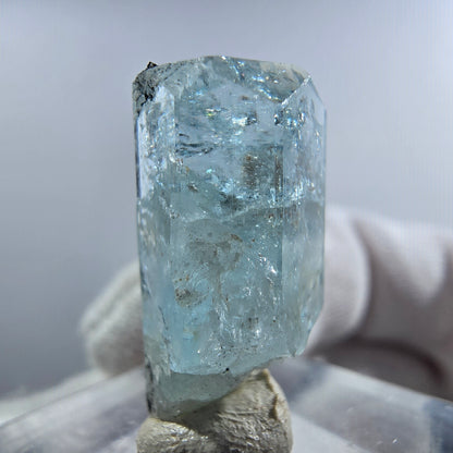 Aigue-marine Setlene, spécimen de tourmaline Schorl, Erongo, Namibie, 23 x 11 x 9 mm 