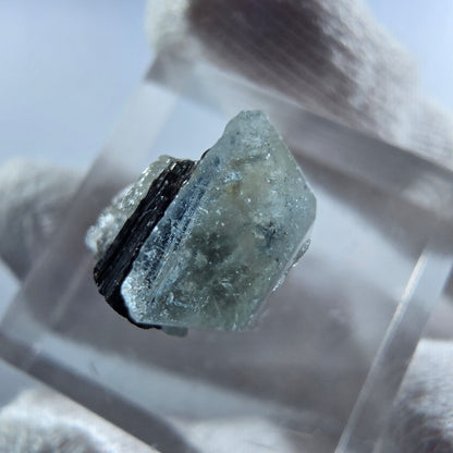 Aigue-marine Setlene, tourmaline Schörl stade Erongo, Namibie 16*10*12mm 