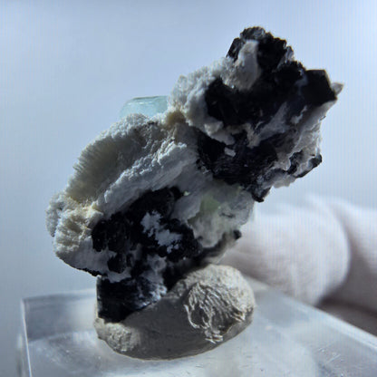 Aigue-marine de Setlene, tourmaline de Schörl, stade orthose Erongo, Namibie 24*23*17 mm 