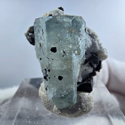 Aigue-marine de Setlene, tourmaline de Schörl, stade orthose Erongo, Namibie 24*23*17 mm 