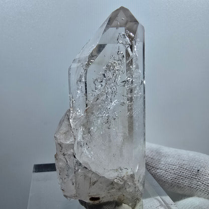 Sceptre en quartz fumé fantôme lémurien, scène de la Saint-Valentin, Goboboseb de poche, Namibie, 64 x 29 x 20 mm 