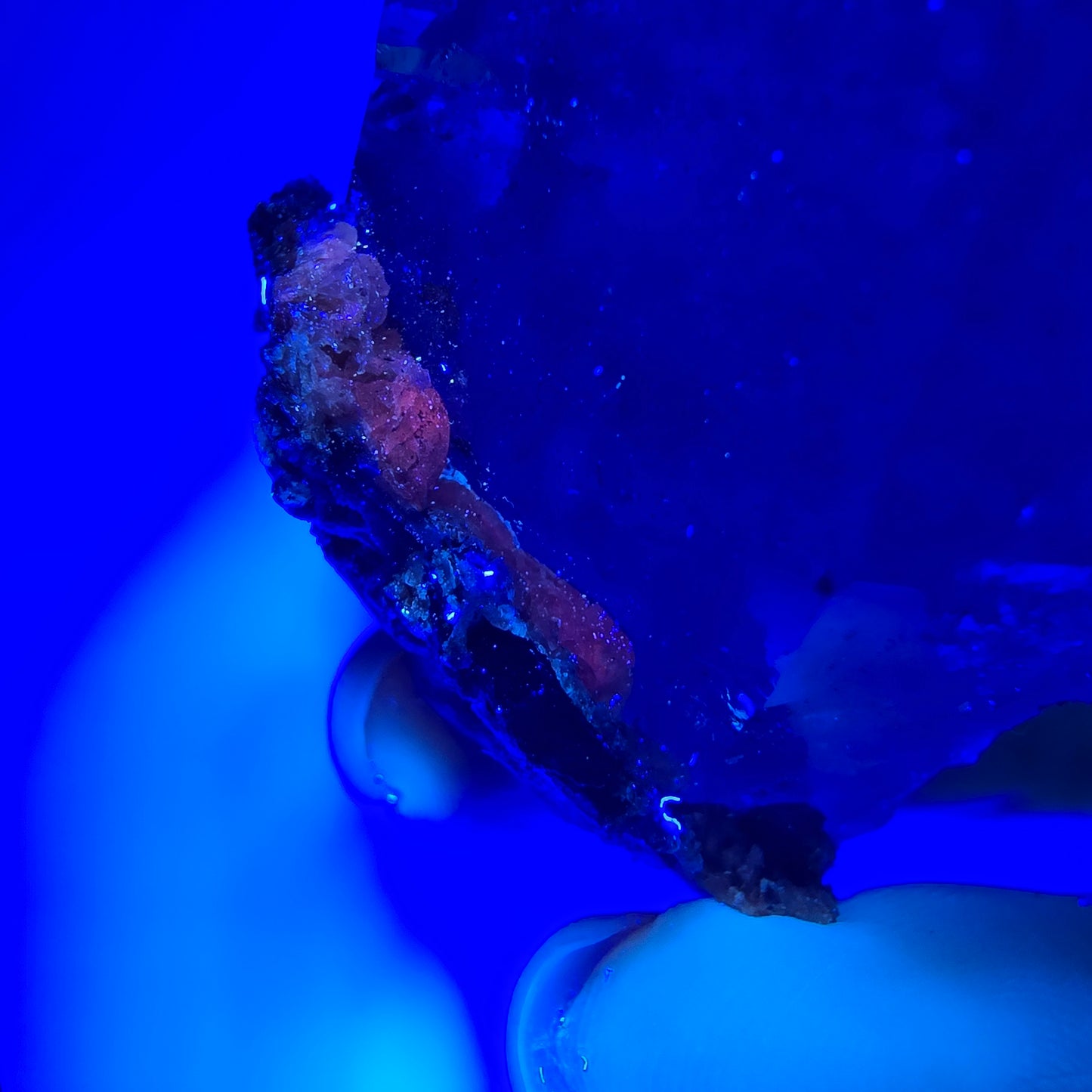 Sceptre squelette en quartz fumé Enhydro, calcite UV Valentine Pocket Goboboseb Namibie 77 x 44 x 38 mm 