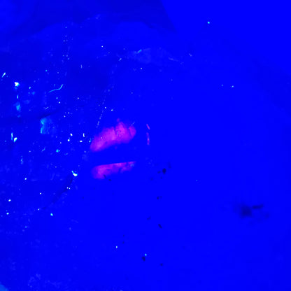 XL Enhydro Skeleton Quartz fumé DT, calcite UV, 2x Bubble Valentine Pocket Namibie 165*56*45mm 