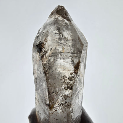 Sceptre XL Enhydro Squelette Quartz Fumé DT 3x Bulle Valentine Pocket Gob. Namibie 146 x 69 x 42 mm 