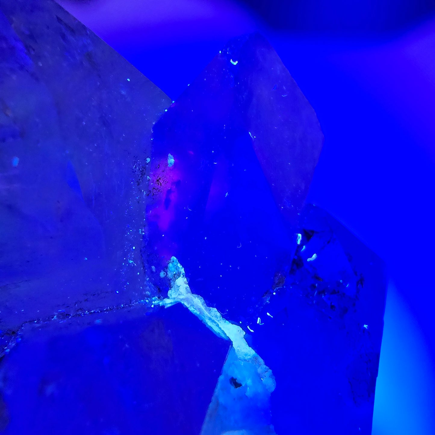 XL Enhydro Skeleton Smoky Quartz DT Scepter, 2x Bubble Valentine Pocket, Namibia 145*69*55mm 