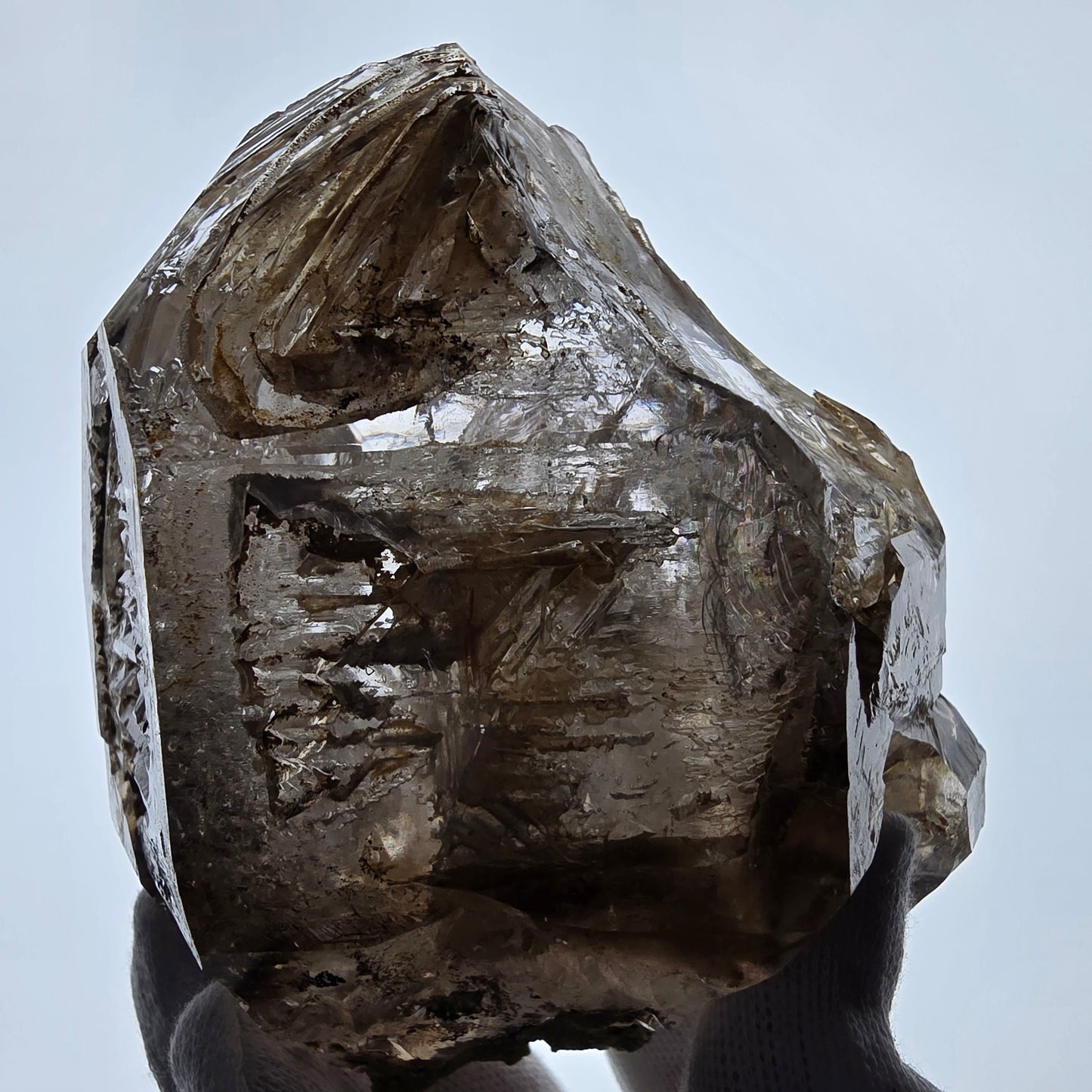XL Enhydro Window Smoky Quartz DT Scepter, 1x Bubble Valentine Pocket Namibia 110*103*74mm 