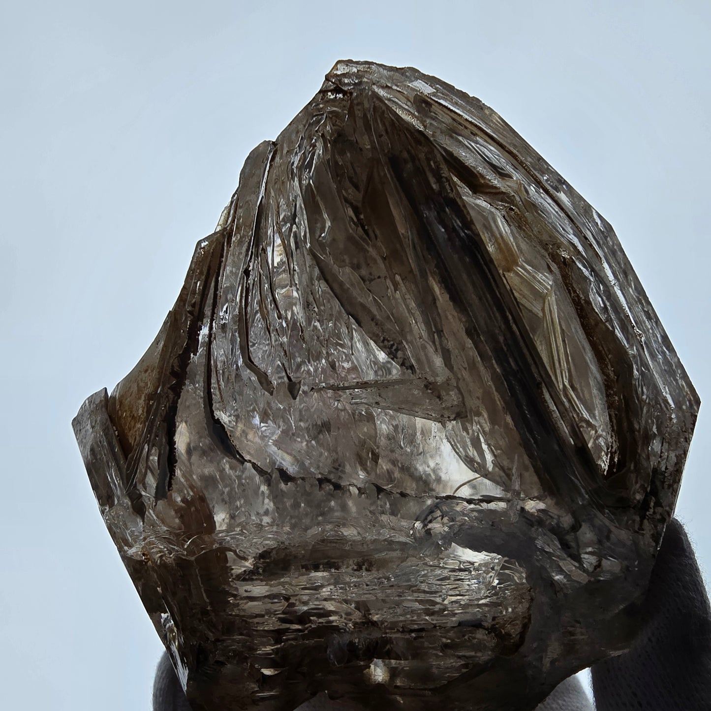 XL Enhydro Window Smoky Quartz DT Scepter, 1x Bubble Valentine Pocket Namibia 110*103*74mm 