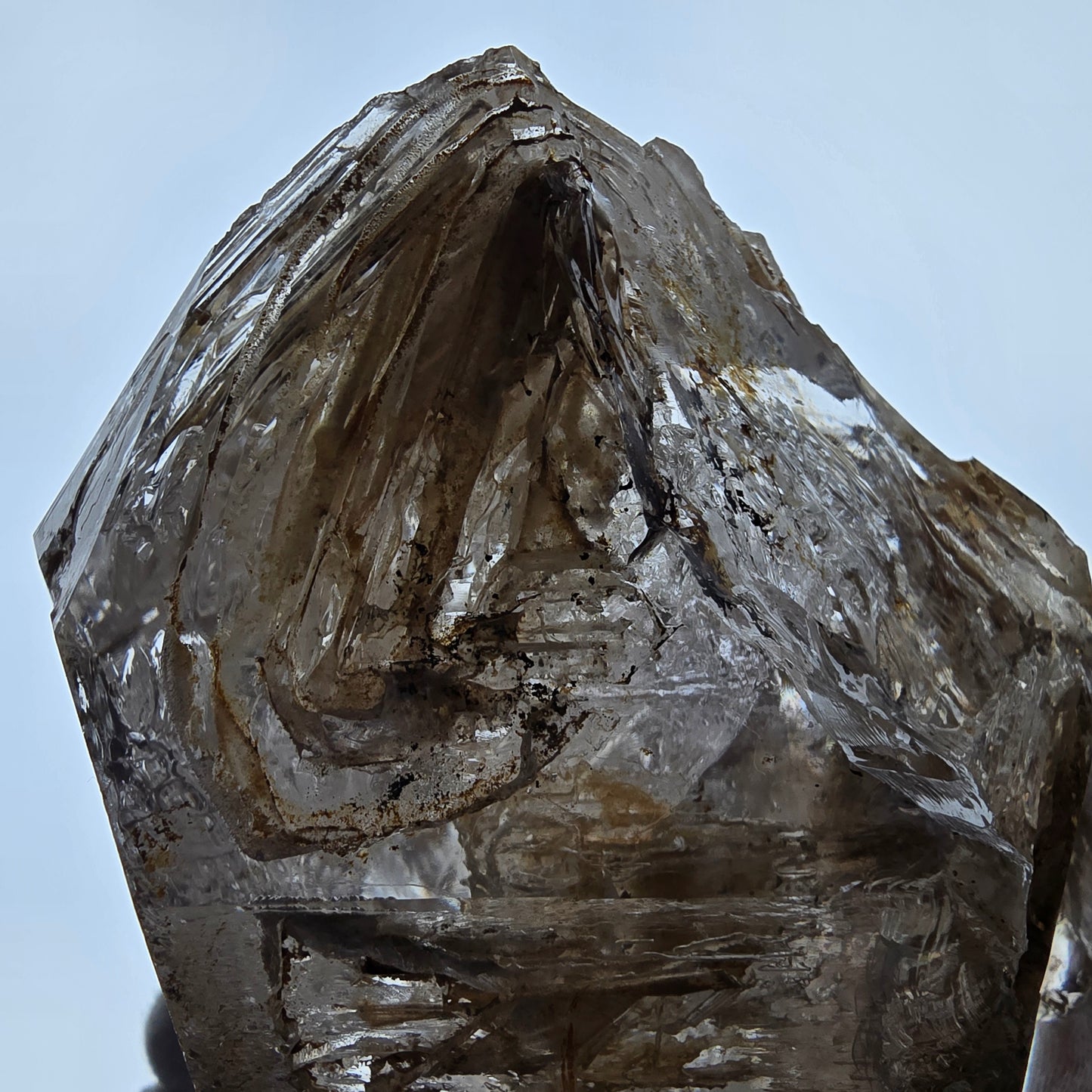 XL Enhydro Window Smoky Quartz DT Scepter, 1x Bubble Valentine Pocket Namibia 110*103*74mm 