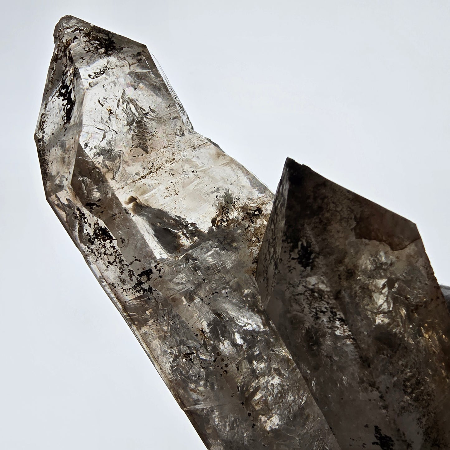 Sceptre XL Enhydro Skeleton Smoky Quartz DT, 4x Bubble Valentine Pocket, Namibie 233 x 54 x 47 mm 