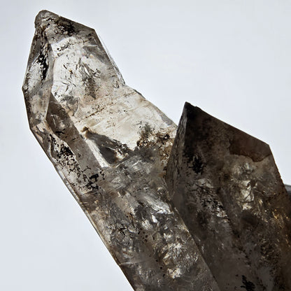 Sceptre XL Enhydro Skeleton Smoky Quartz DT, 4x Bubble Valentine Pocket, Namibie 233 x 54 x 47 mm 