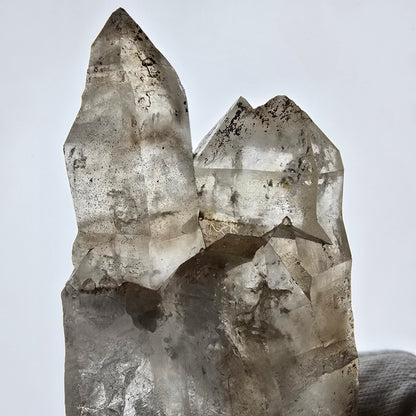 XL Skeleton Phantom Smoky Quartz DT Sceptre Valentine Pocket, Namibie 183*56*44mm 