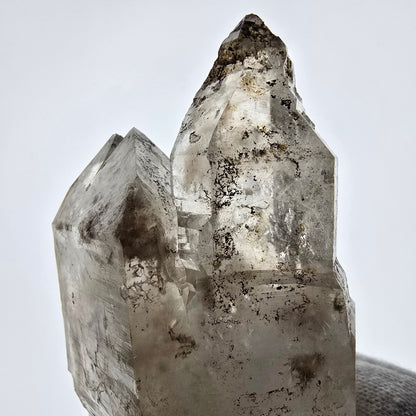 XL Skeleton Phantom Smoky Quartz DT Sceptre Valentine Pocket, Namibie 183*56*44mm 
