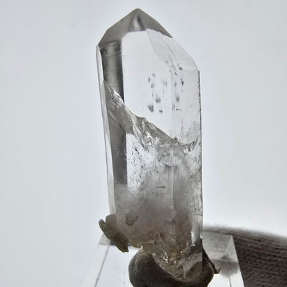 Phantom Smoky Quartz DT Scepter Valentine Pocket Gobo. Namibia 47*17*19mm 
