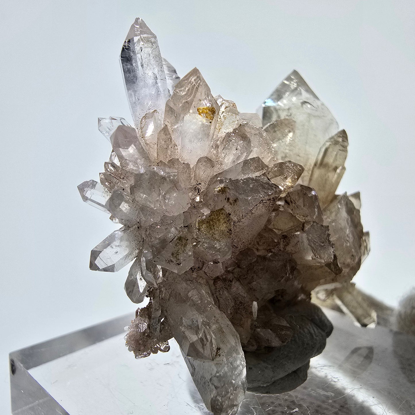 Skeleton Phantom Smoky Quartz DT Scepter Grade Valentine Pocket, Namibia 55*44*18mm 