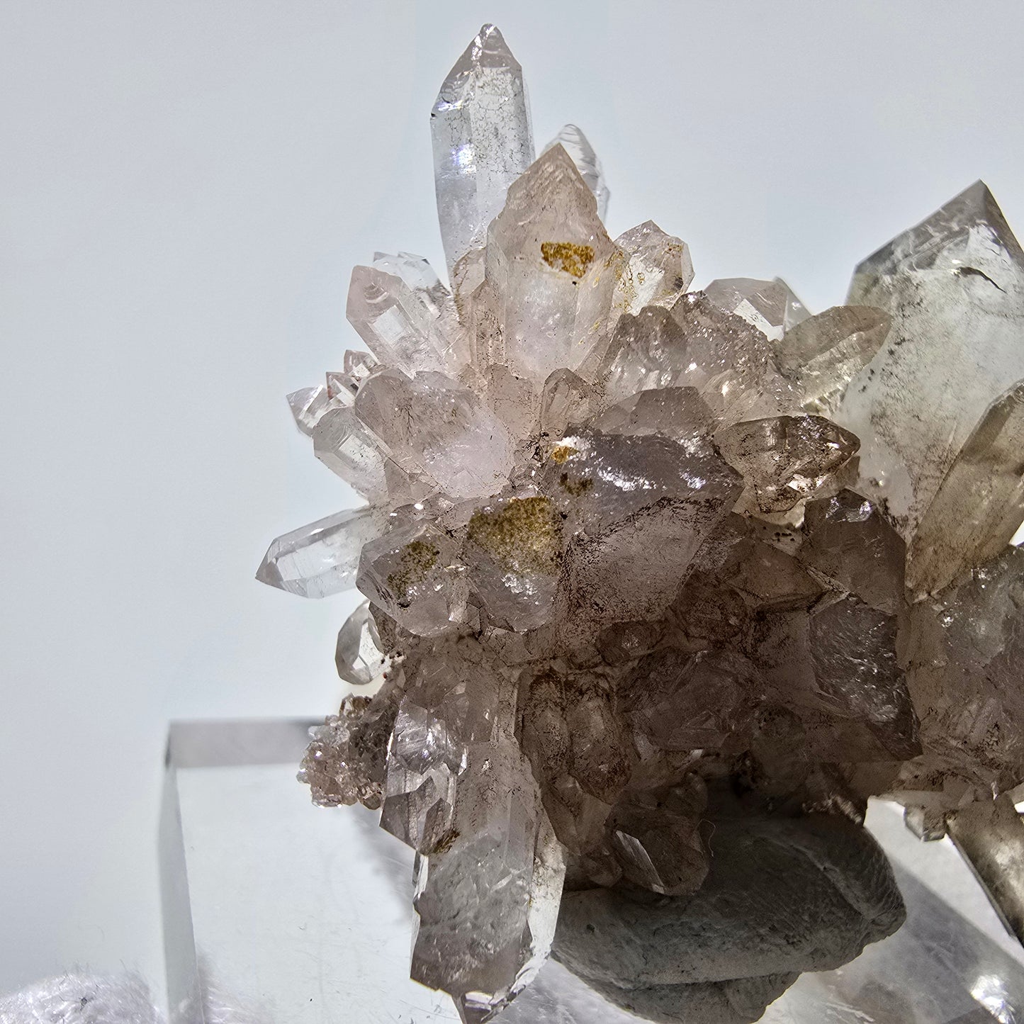 Skeleton Phantom Smoky Quartz DT Scepter Grade Valentine Pocket, Namibia 55*44*18mm 
