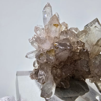 Skeleton Phantom Smoky Quartz DT Scepter Grade Valentine Pocket, Namibia 55*44*18mm 