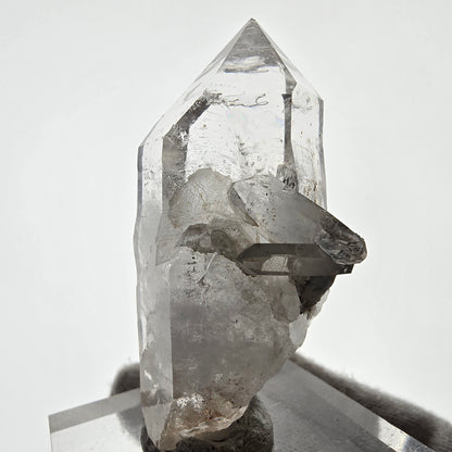Skeleton Phantom Smoky Quartz DT Scepter Valentine Pocket, Namibia 68*35*32mm 