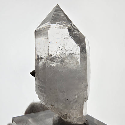 Skeleton Phantom Smoky Quartz DT Scepter Valentine Pocket, Namibia 68*35*32mm 