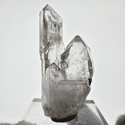 Sceptre fantôme squelette en quartz fumé, poche Saint-Valentin, Namibie, 70 x 34 x 18 mm 