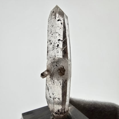 Sceptre de poche Saint-Valentin en quartz fumé fantôme squelette, Namibie 60 x 18 x 14 mm 