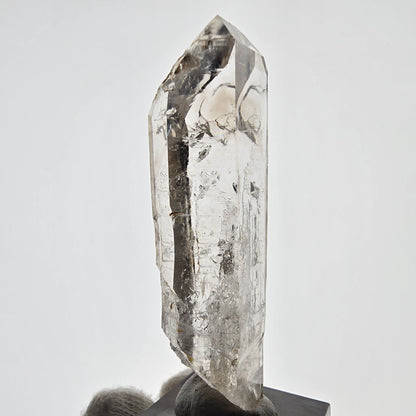 Sceptre squelette en quartz fumé Enhydro, 1 pochette bulle Saint-Valentin, Namibie 65 x 20 x 14 mm 