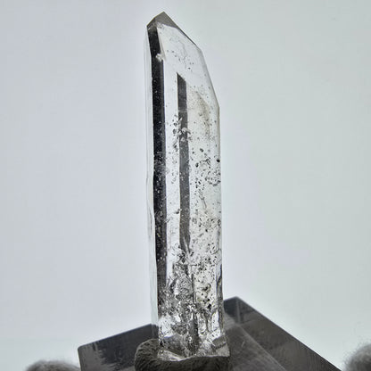 Sceptre de poche en quartz fumé fantôme squelette, Namibie, 48 x 18 x 7 mm 