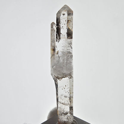 Skeleton Phantom Smoky Quartz DT Scepter Valentine Pocket, Namibia 65*14*12mm 