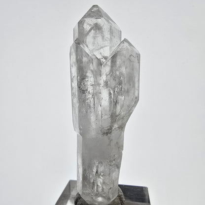 Sceptre de poche Saint-Valentin en quartz fumé fantôme squelette, Namibie 61 x 20 x 16 mm 