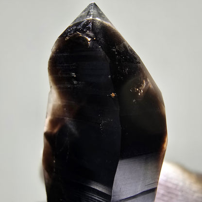 Skeleton Phantom Smoky Quartz DT Scepter Valentine Pocket, Namibia 59*18*15mm 