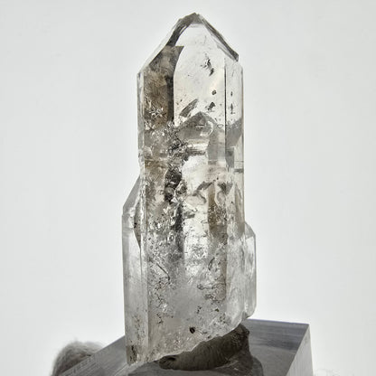 Lemurian Phantom Smoky Quartz Scepter Valentine Pocket, Namibia 50*26*15mm 
