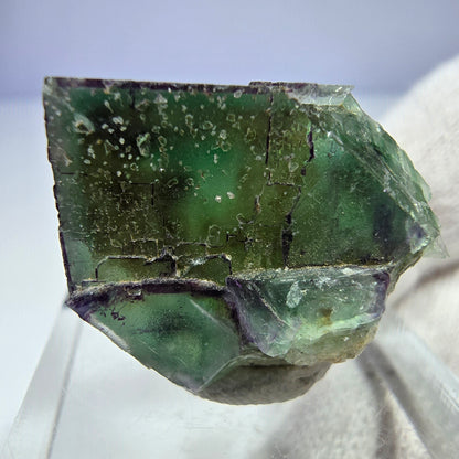 Seltener Phantom Fluorit Würfel, zonal, parkettiert Okorusu, Namibia 27*19*19mm