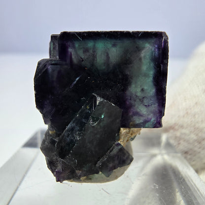 Spécimen rare de cube de fluorite fantôme, vert zonal et violet, Okorusu, Namibie, 24 x 16 x 17 mm 