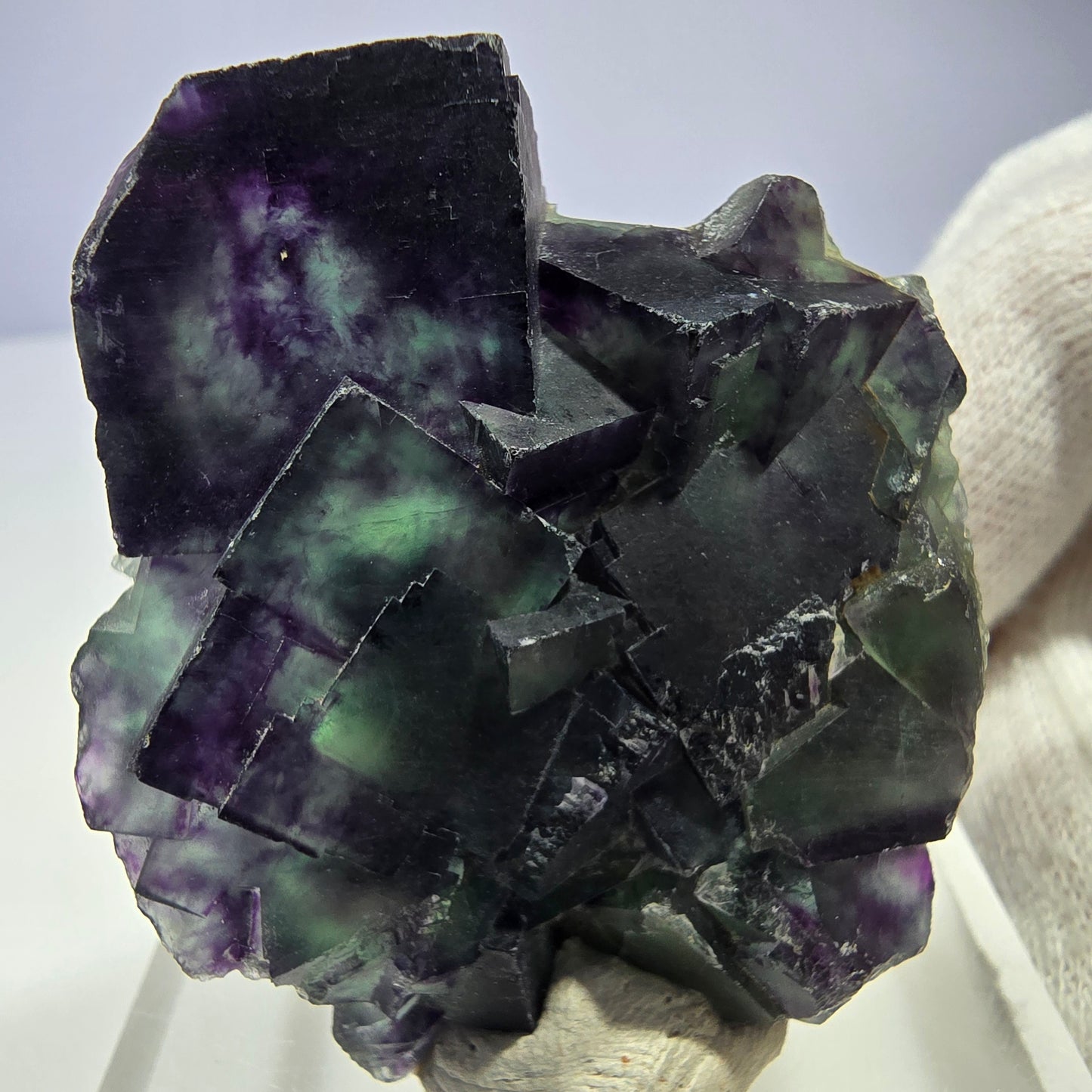 Spécimen rare de cube de fluorite fantôme, vert zonal et violet, Okorusu, Namibie, 49 x 47 x 18 mm 