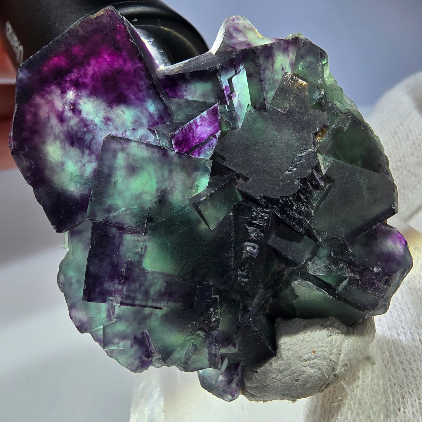 Spécimen rare de cube de fluorite fantôme, vert zonal et violet, Okorusu, Namibie, 49 x 47 x 18 mm 