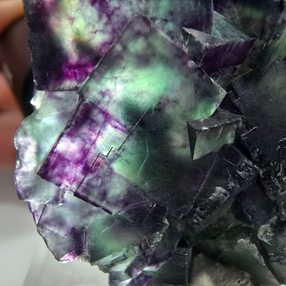 Spécimen rare de cube de fluorite fantôme, vert zonal et violet, Okorusu, Namibie, 49 x 47 x 18 mm 