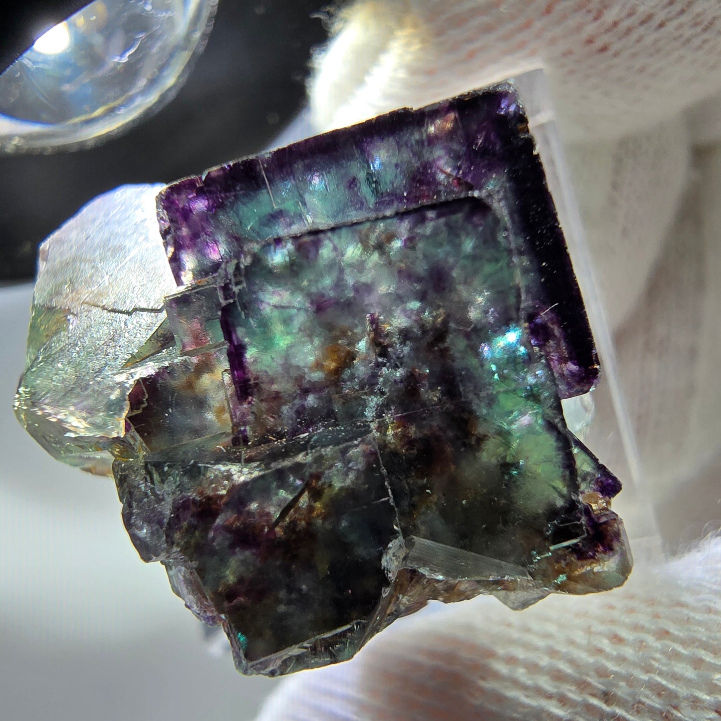 Spécimen rare de cube de fluorite fantôme, vert zonal et violet, Okorusu, Namibie, 28 x 24 x 21 mm 