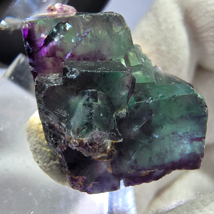 Spécimen rare de cube de fluorite fantôme, vert zonal et violet, Okorusu, Namibie, 29 x 22 x 20 mm 