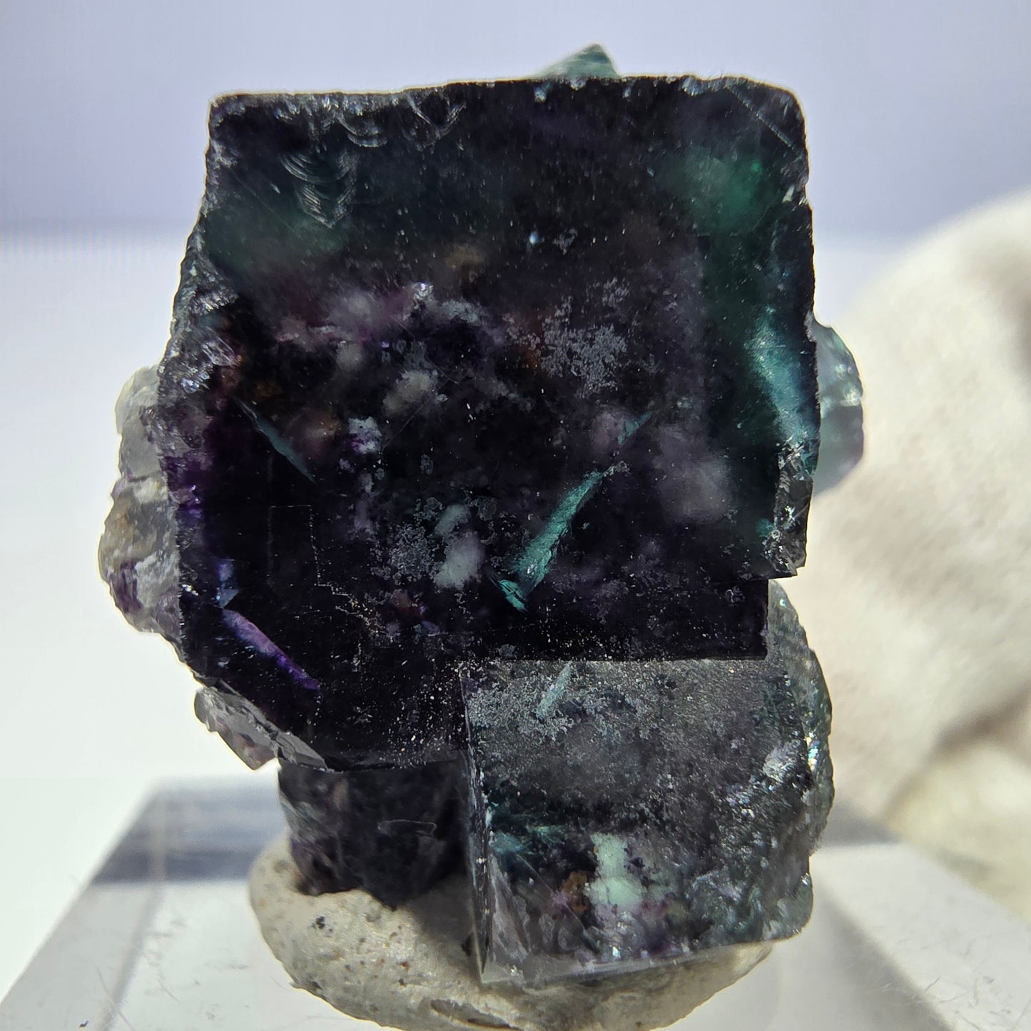 Spécimen rare de cube de fluorite fantôme, vert zonal et violet, Okorusu, Namibie, 27 x 23 x 20 mm 